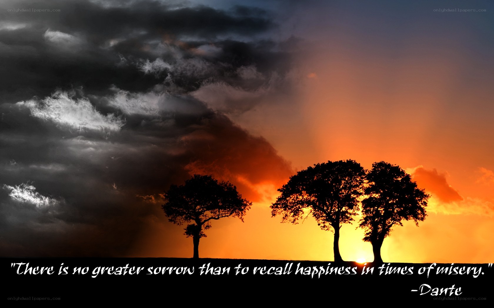 sunset with trees and quote