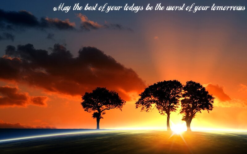 sunset with trees
