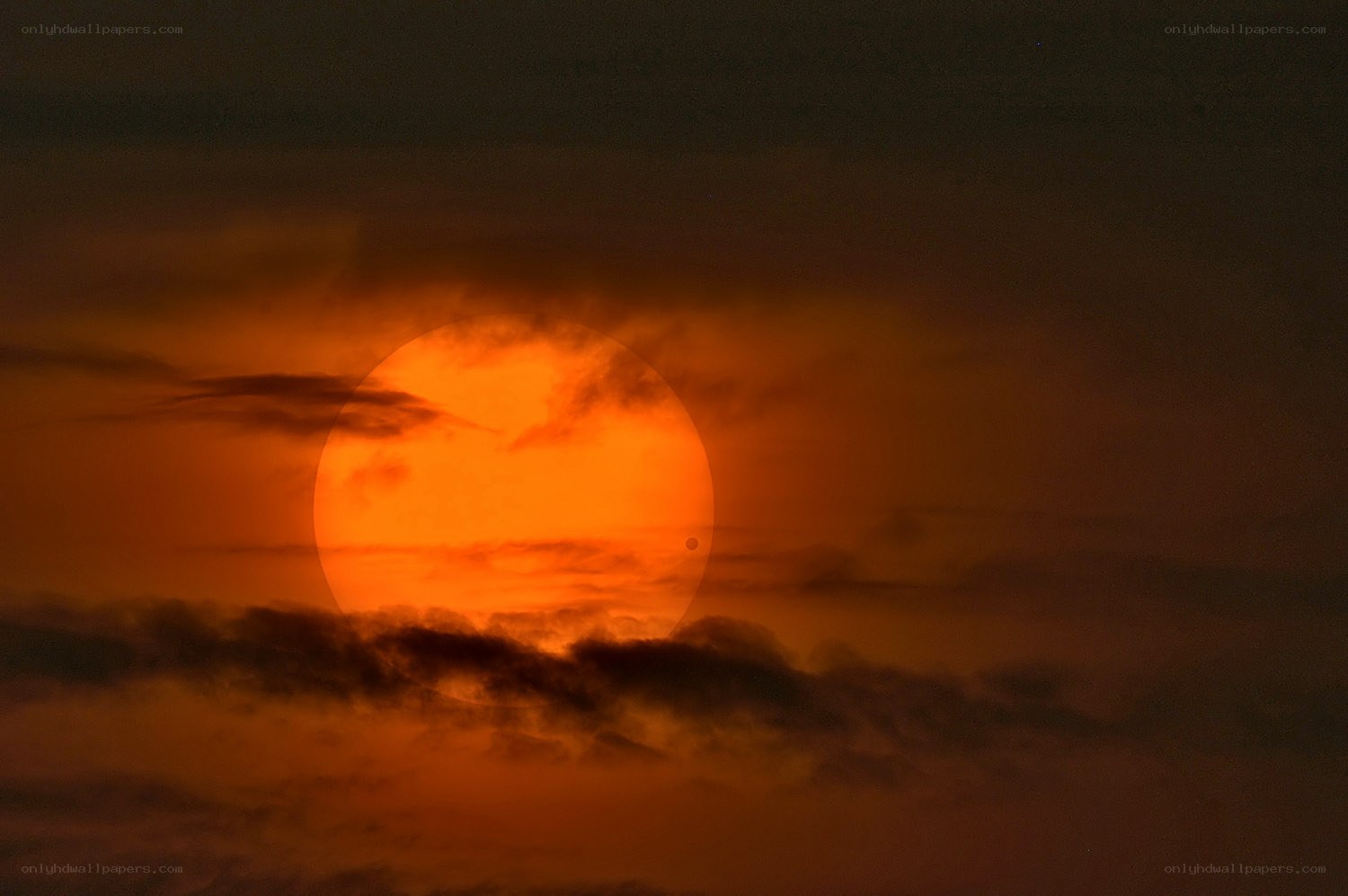 Sunset with Venus