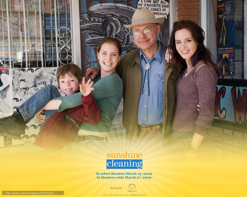 Sunshine Cleaning movie poster