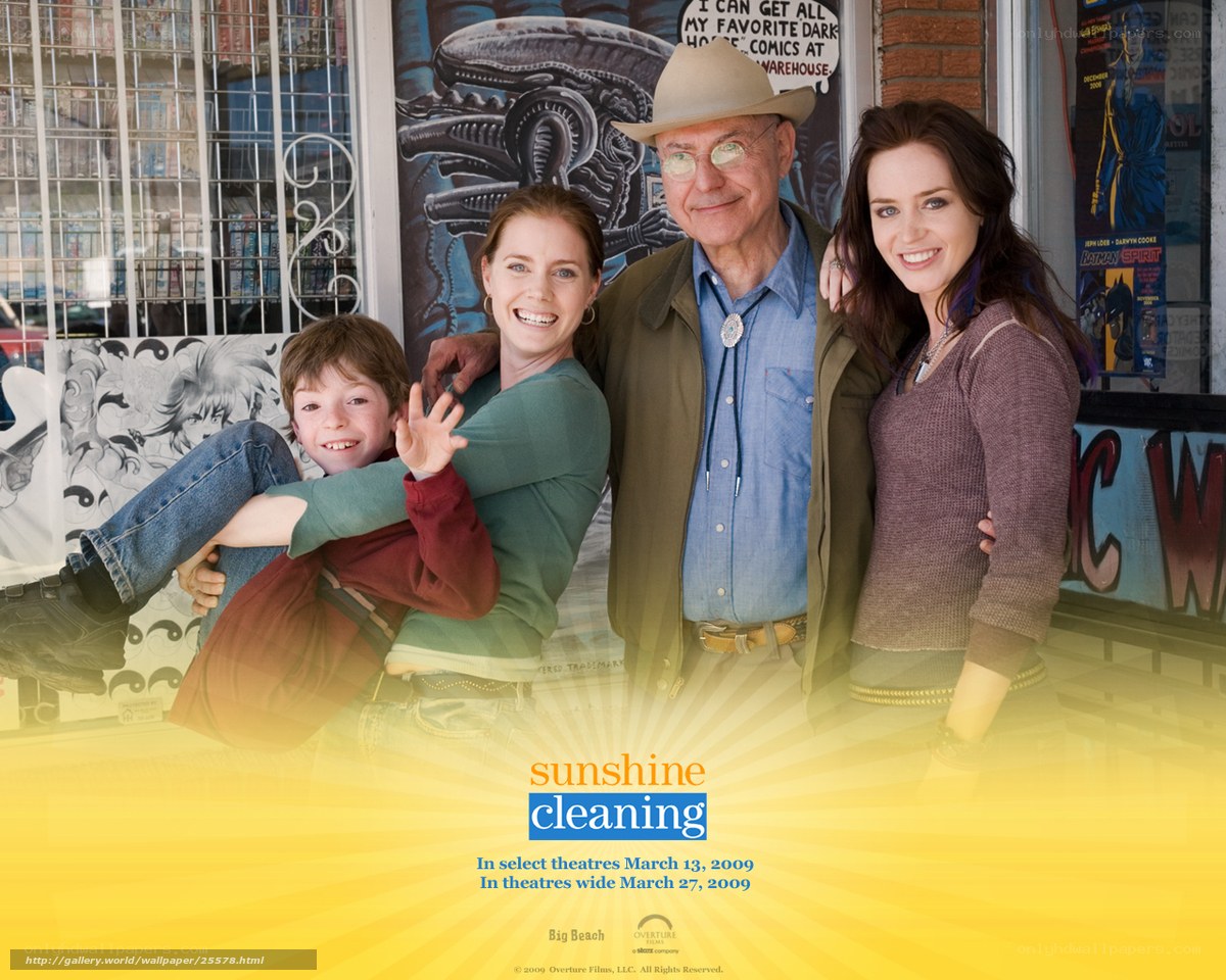 Sunshine Cleaning movie poster