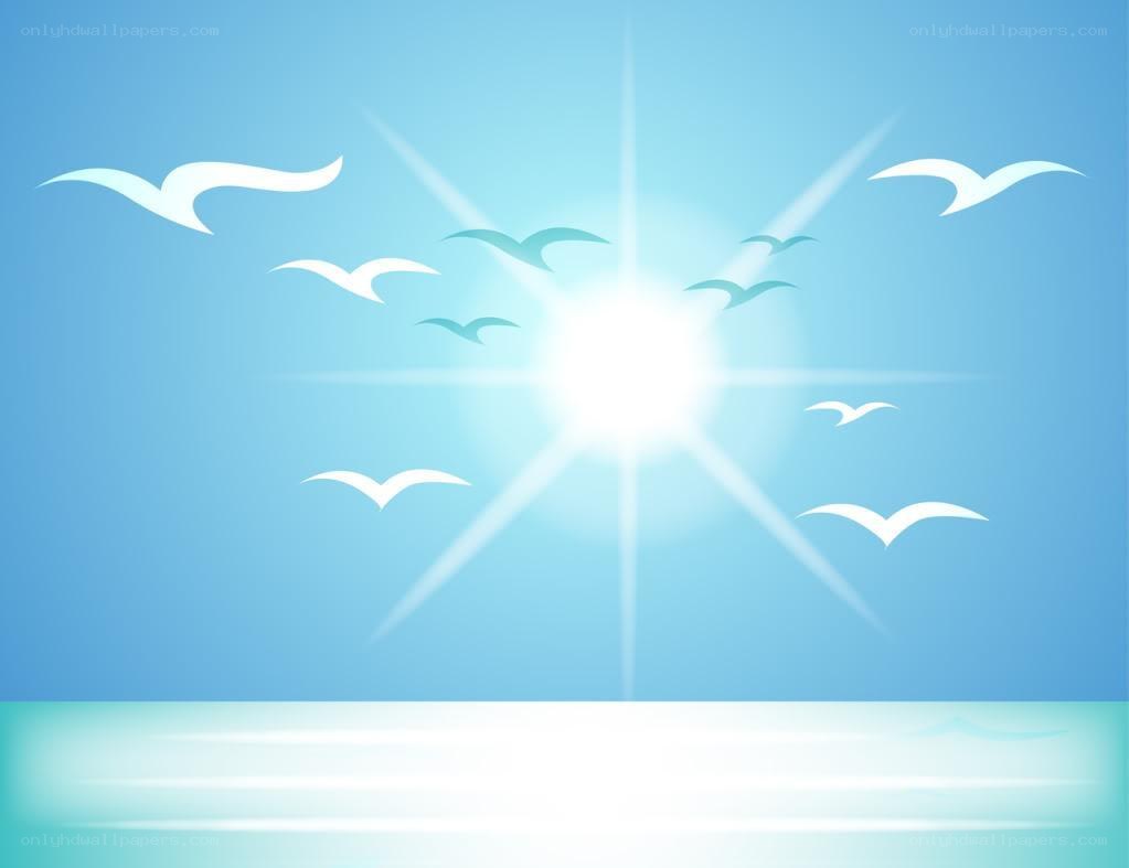 Sunshine with flying birds