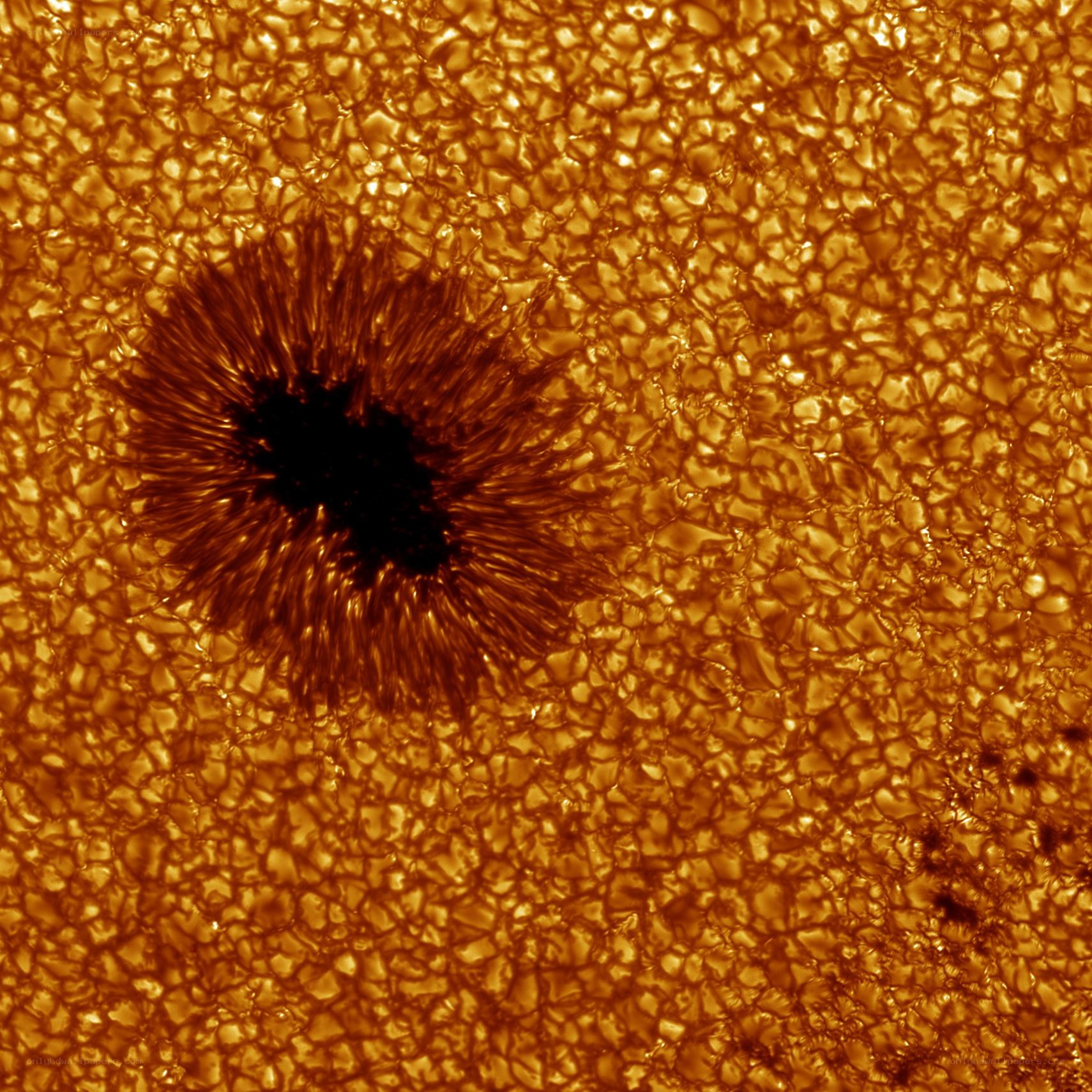 Sunspot on solar surface