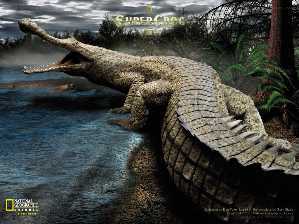 Super Croc in prehistoric swamp