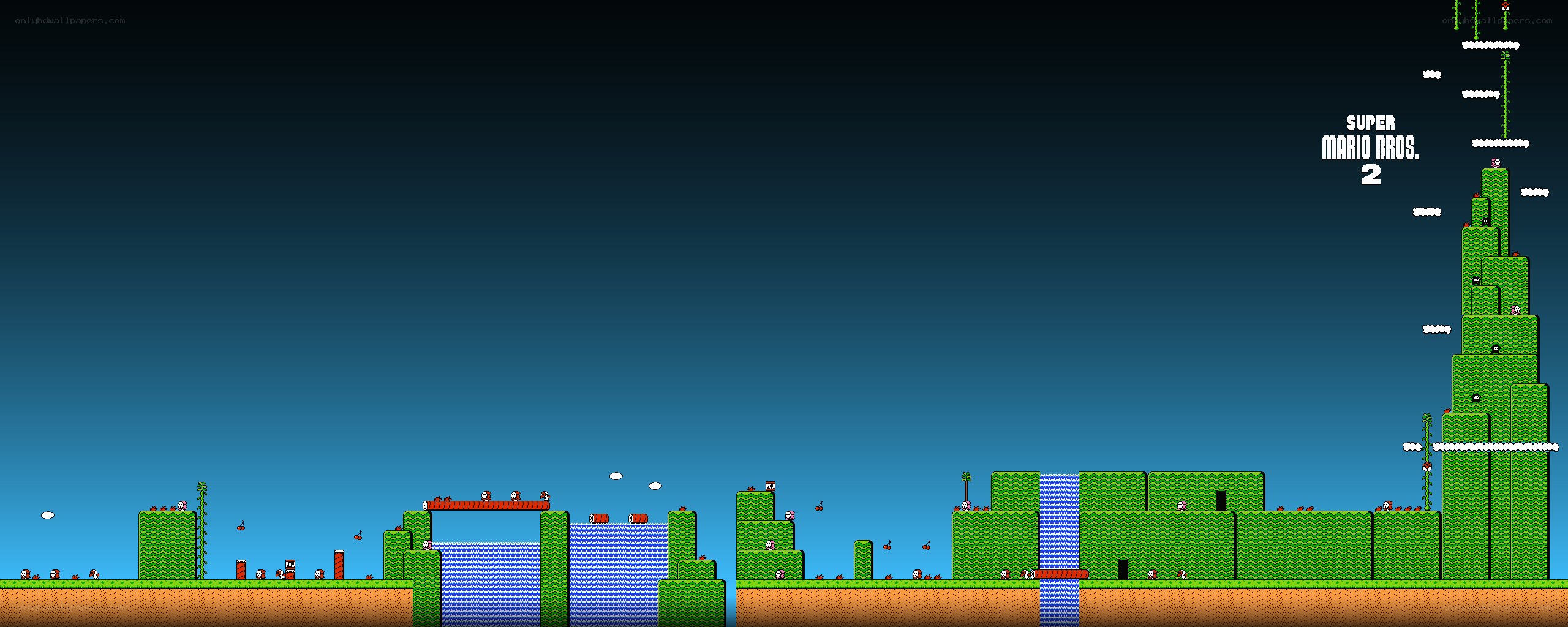 Super Mario Bros. 2 gameplay scene