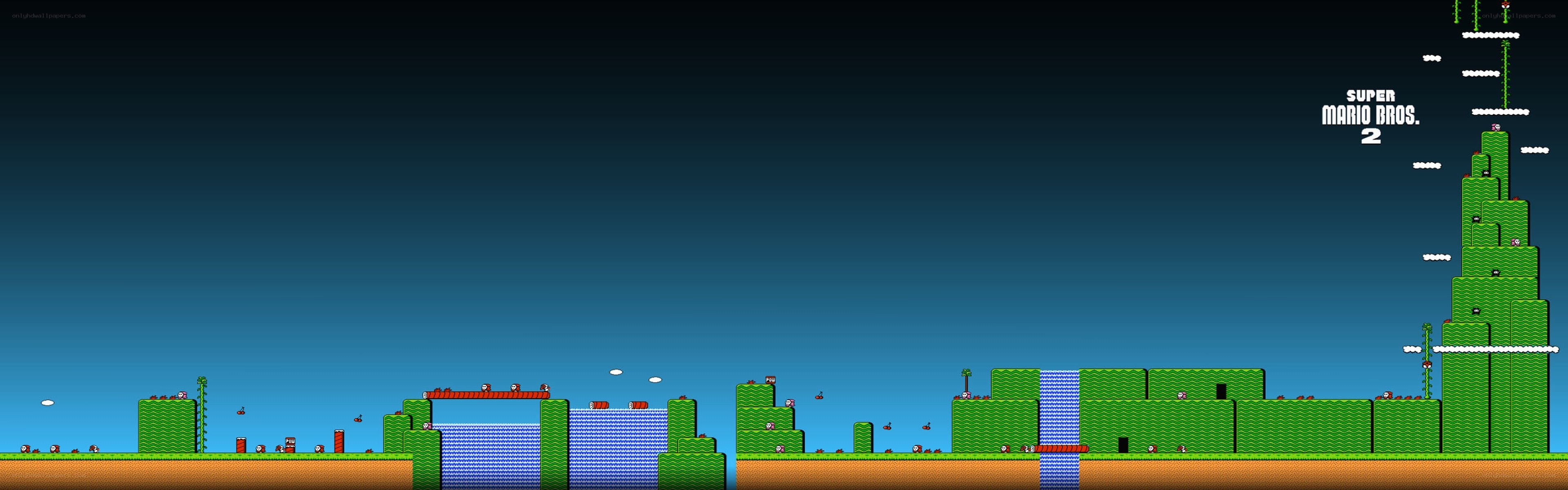 Super Mario Bros. 2 gameplay scene