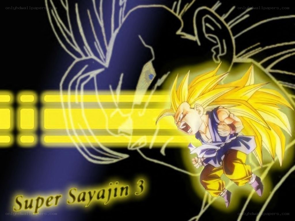 Super Saiyan 3 Goku