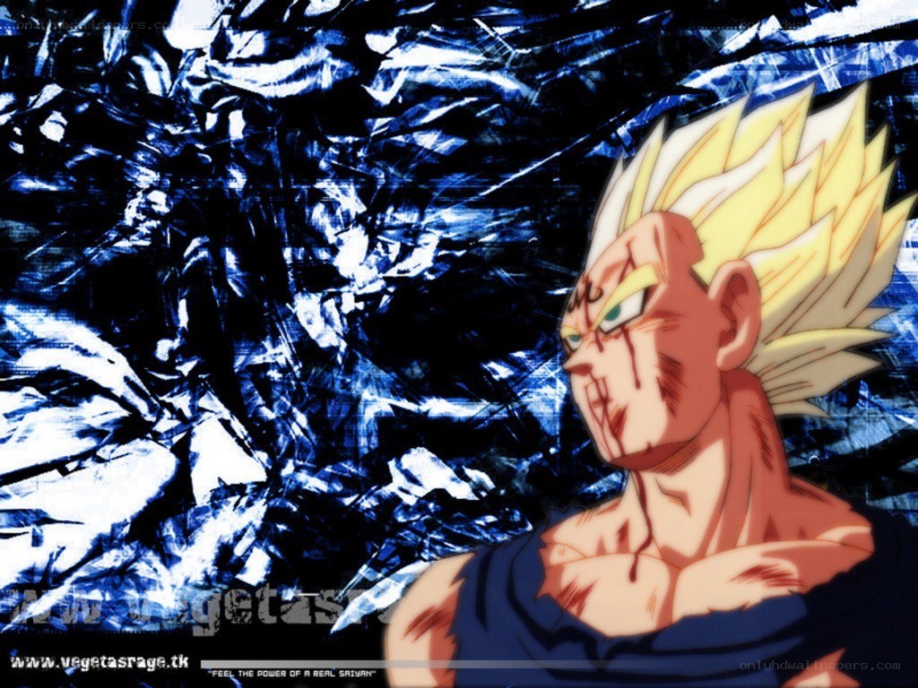Super Saiyan Vegeta in battle