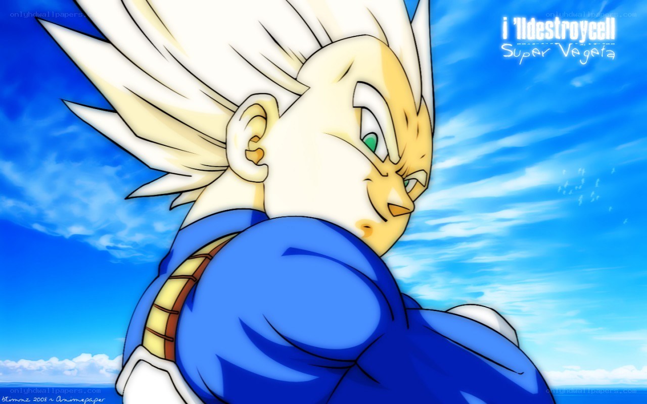 Super Saiyan Vegeta