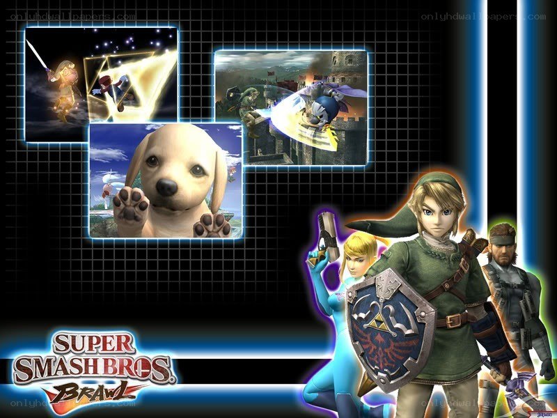 Super Smash Bros. Brawl characters