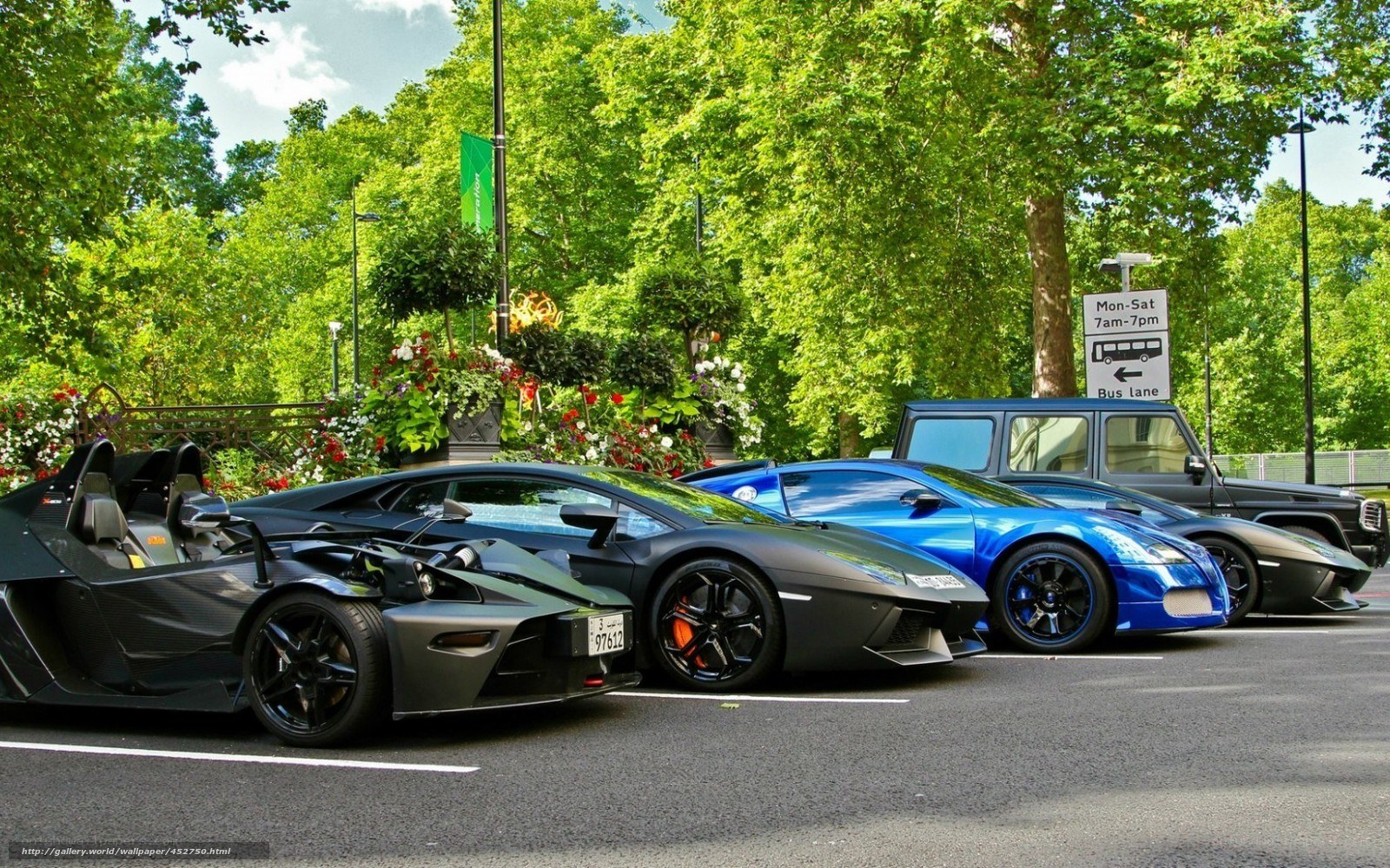 Supercars in a city park