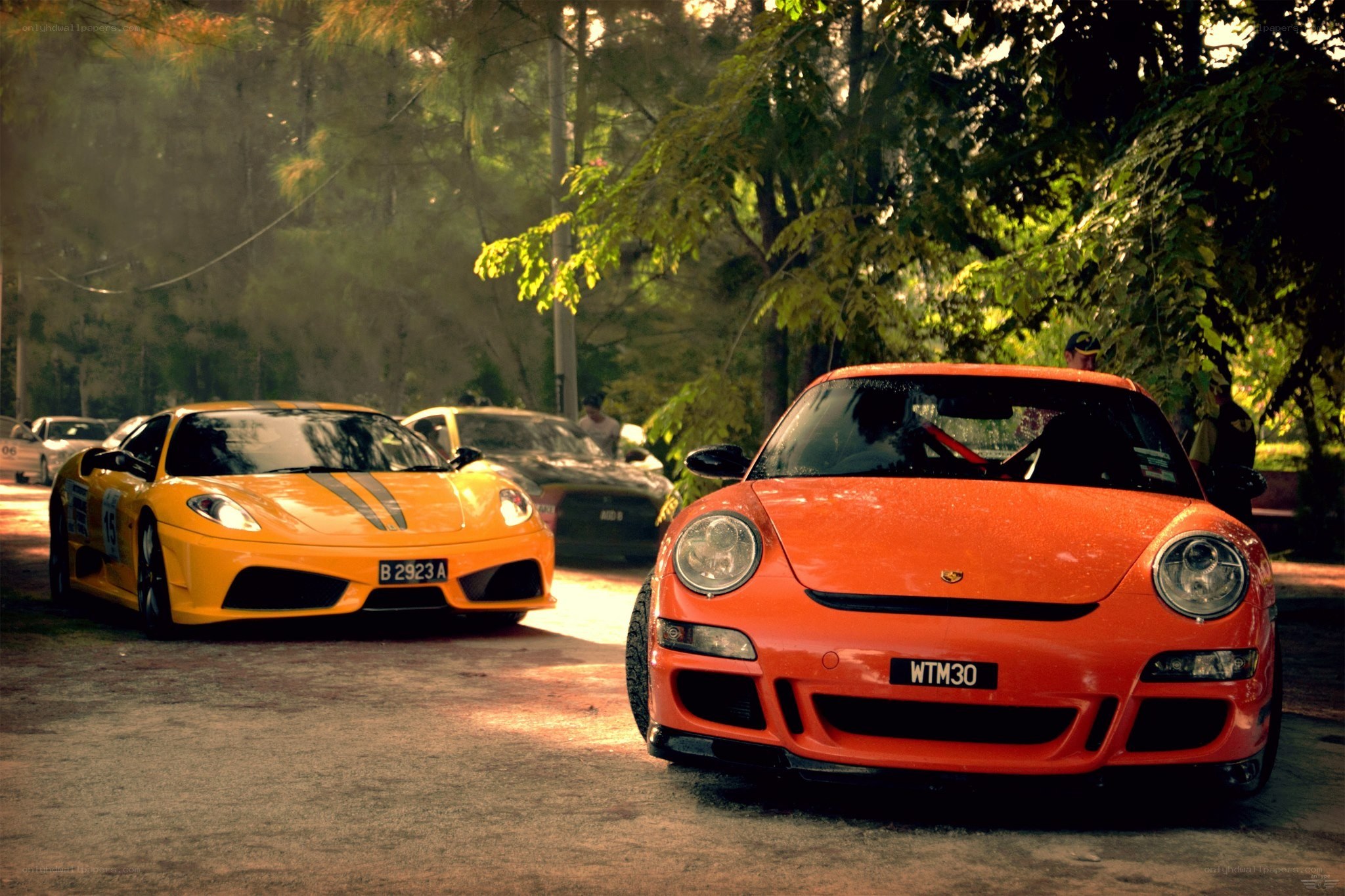 Supercars in a park