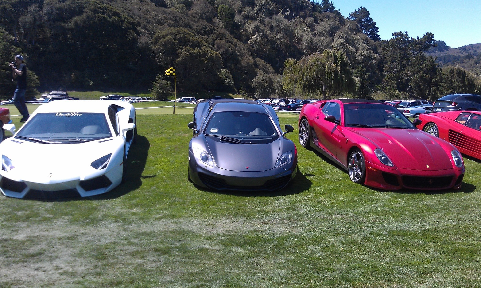 Supercars on a grassy field