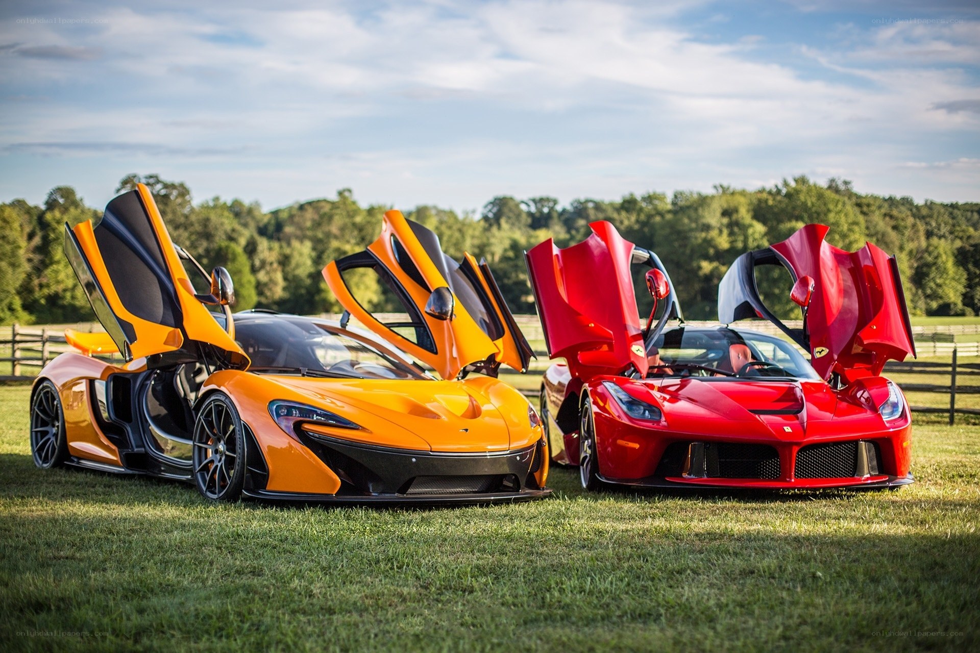 Supercars on a grassy field