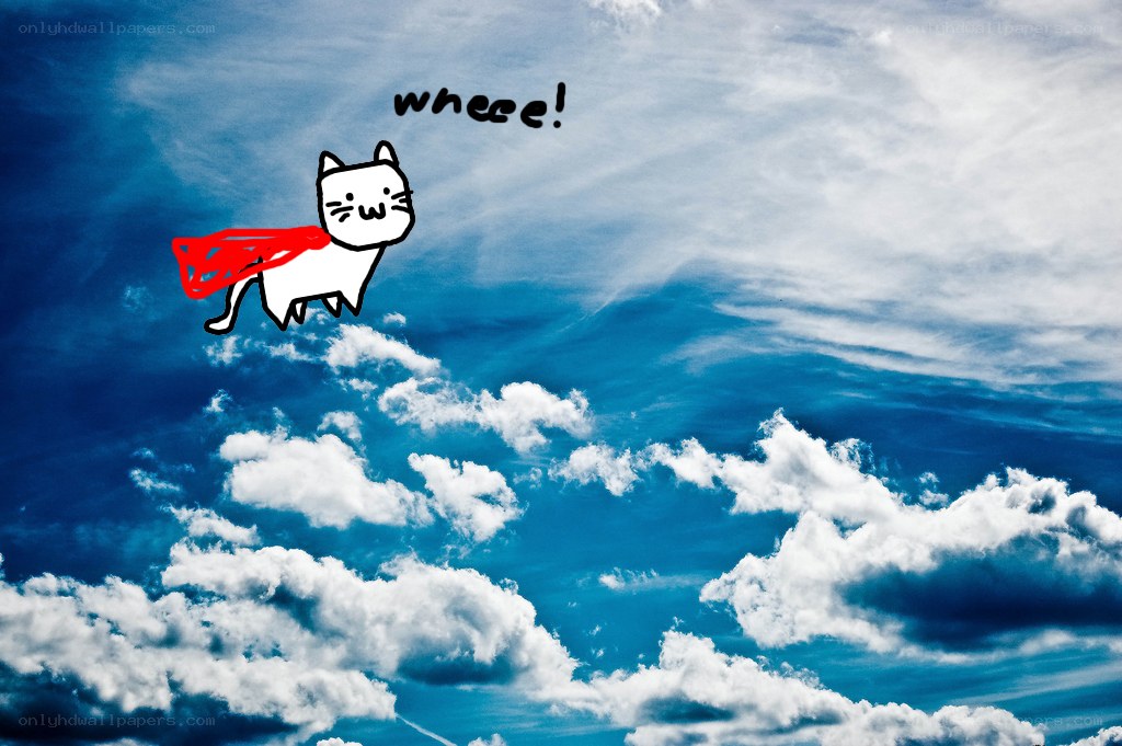 superhero cat in the sky