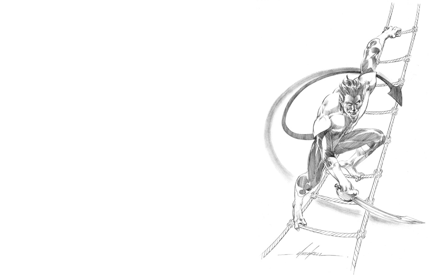 superhero climbing rope ladder