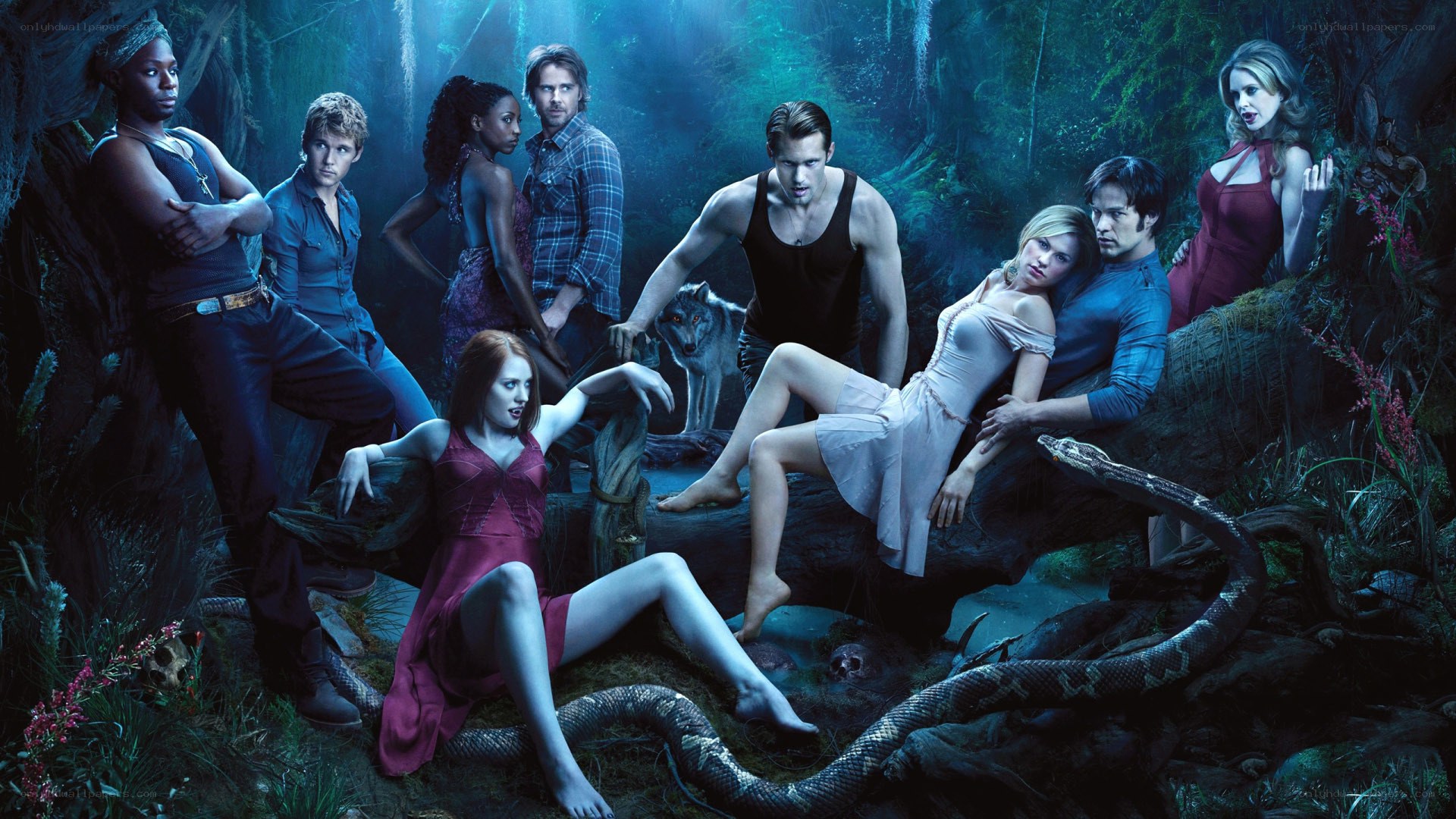 Supernatural cast in forest