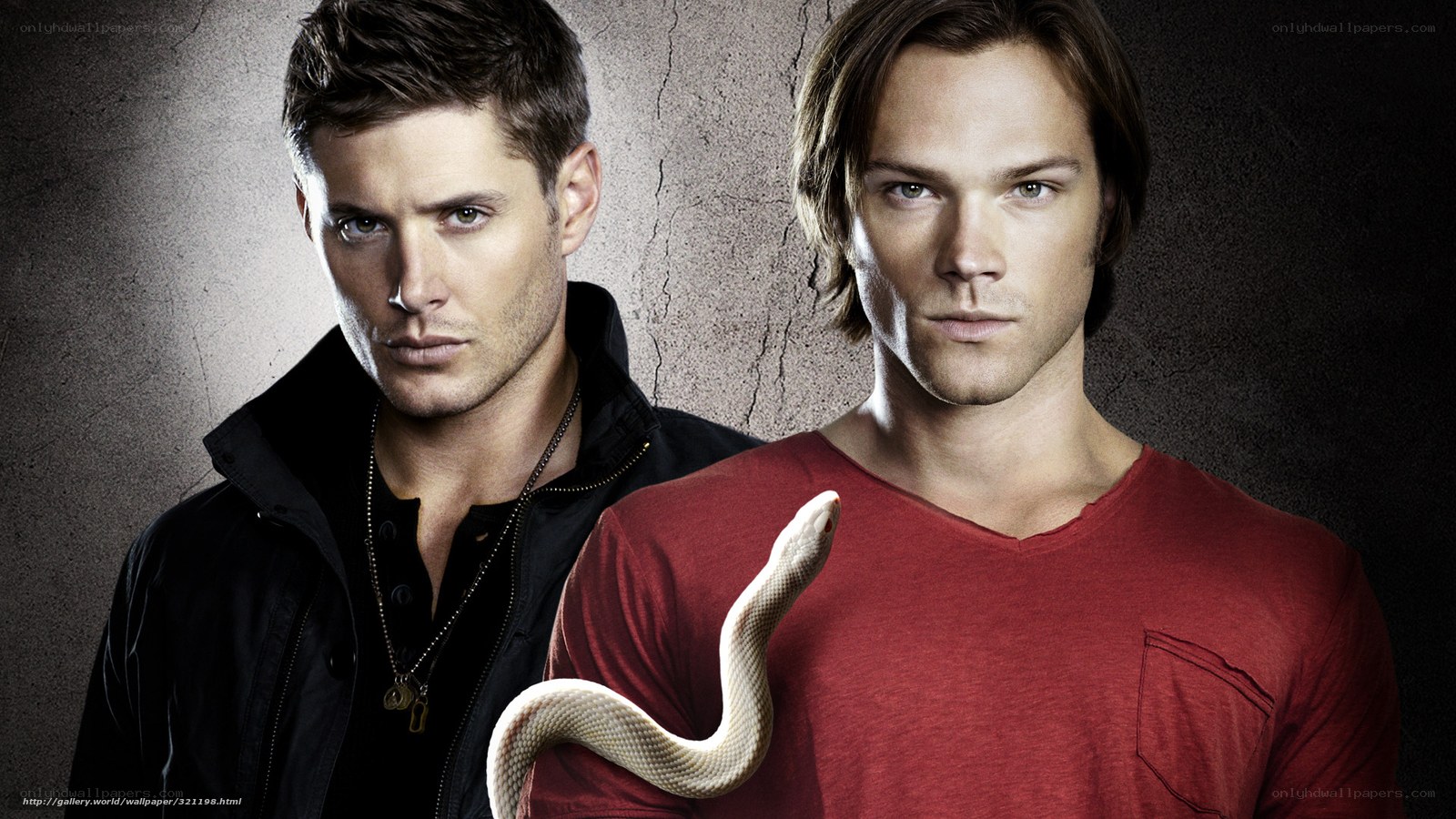 Supernatural characters with snake