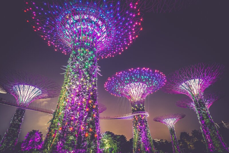 Supertrees at Night — Purple