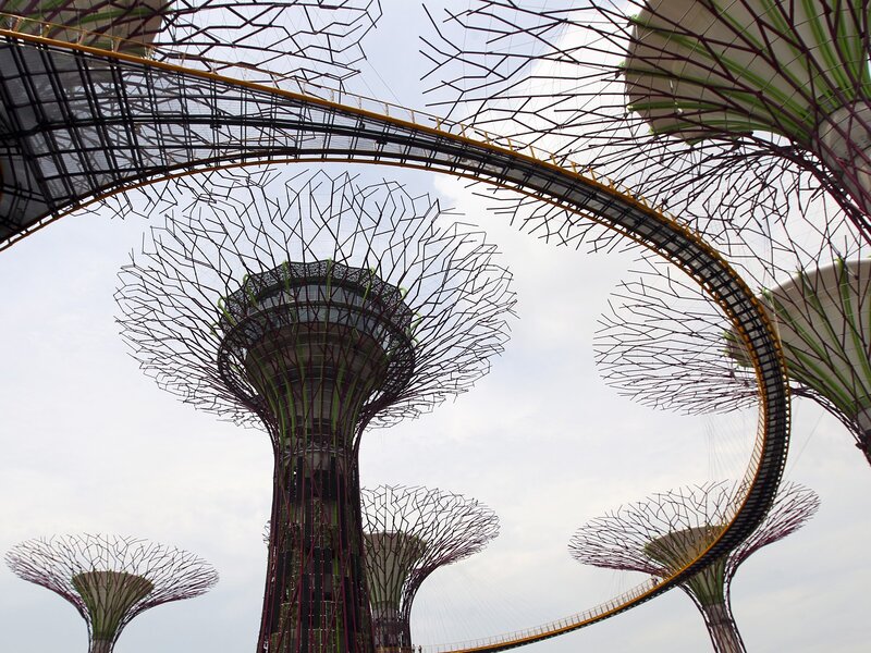 Supertrees in Garden — Green