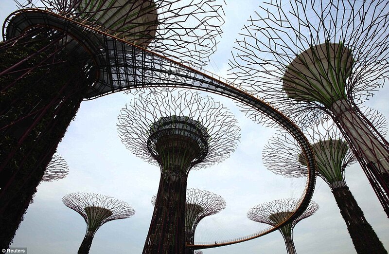 Supertrees in Garden