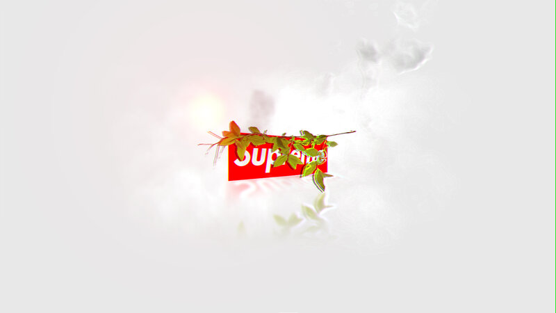 Supreme Logo with Leaves