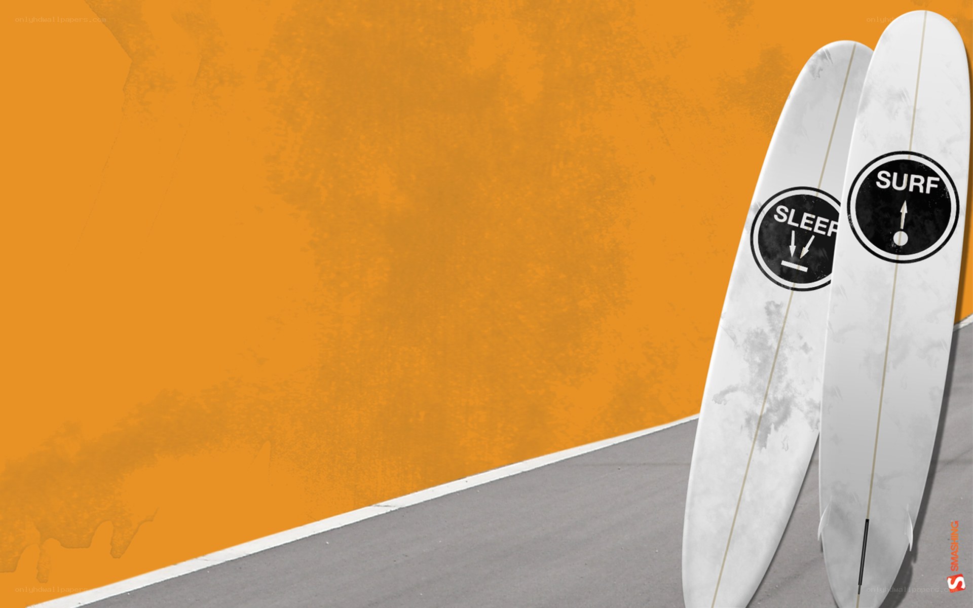 surf and sleep surfboards