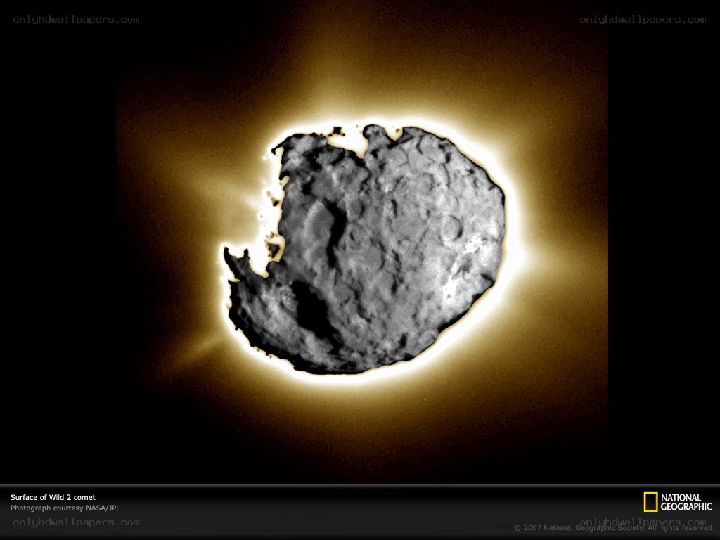 Surface of Wild 2 comet