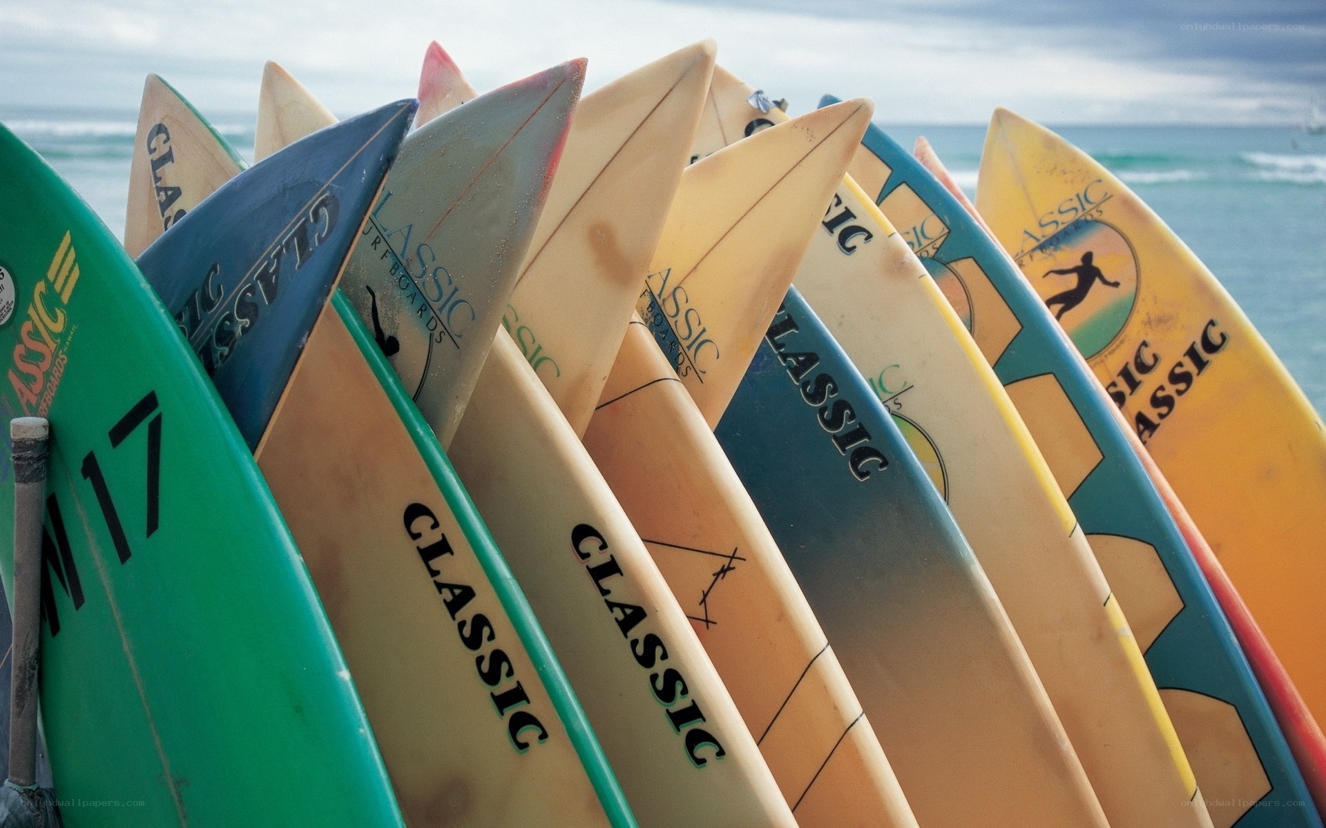 Surfboards lined up on the beach