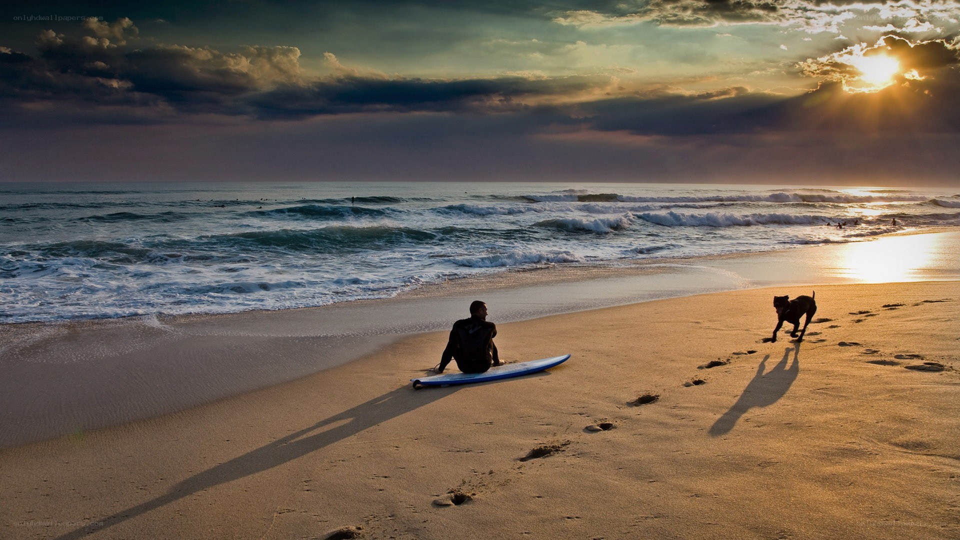 Surfer and dog at sunset