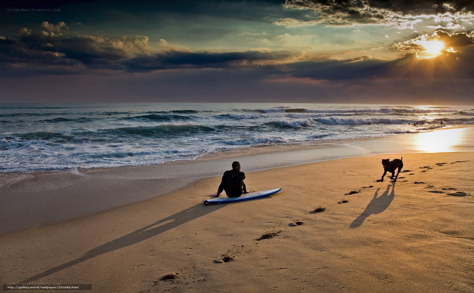 Surfer and dog at sunset