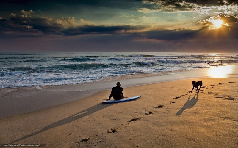 Surfer and Dog on Beach