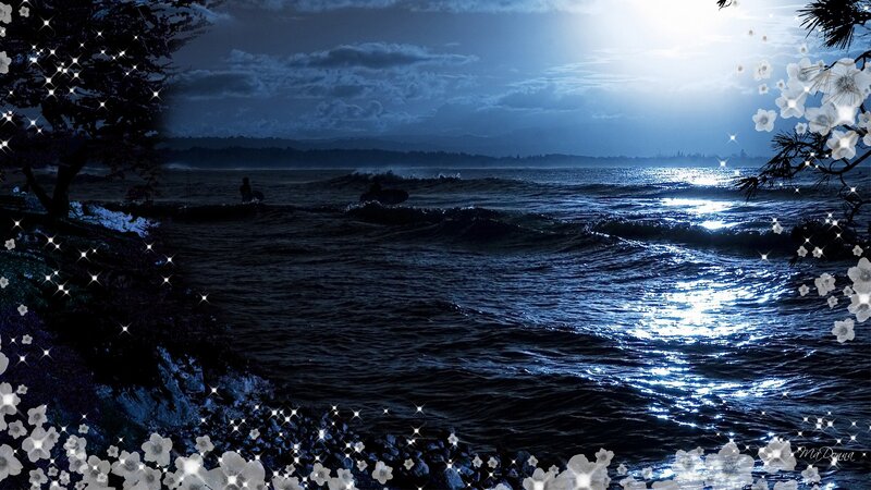 Surfer at Night