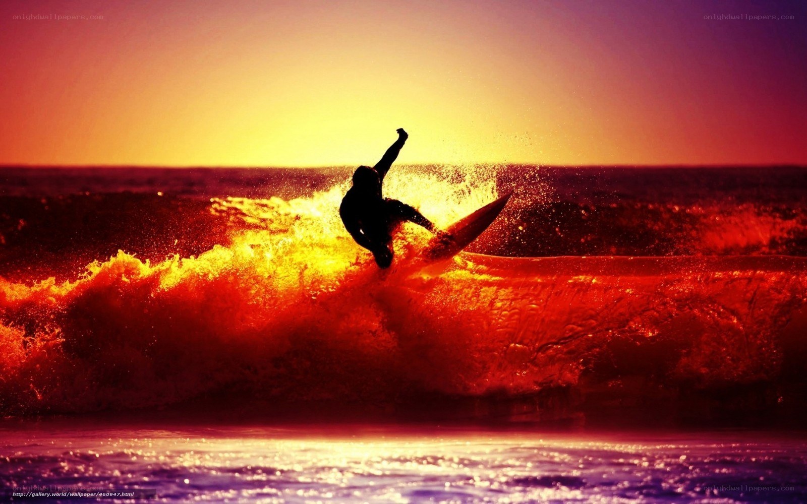 Surfer at sunset