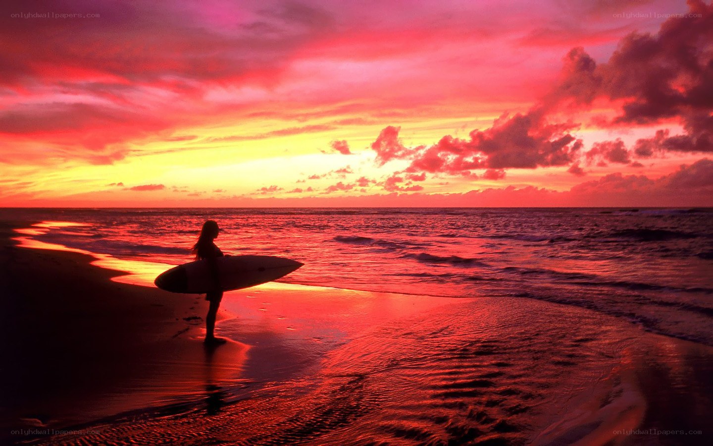 Surfer at sunset on beach