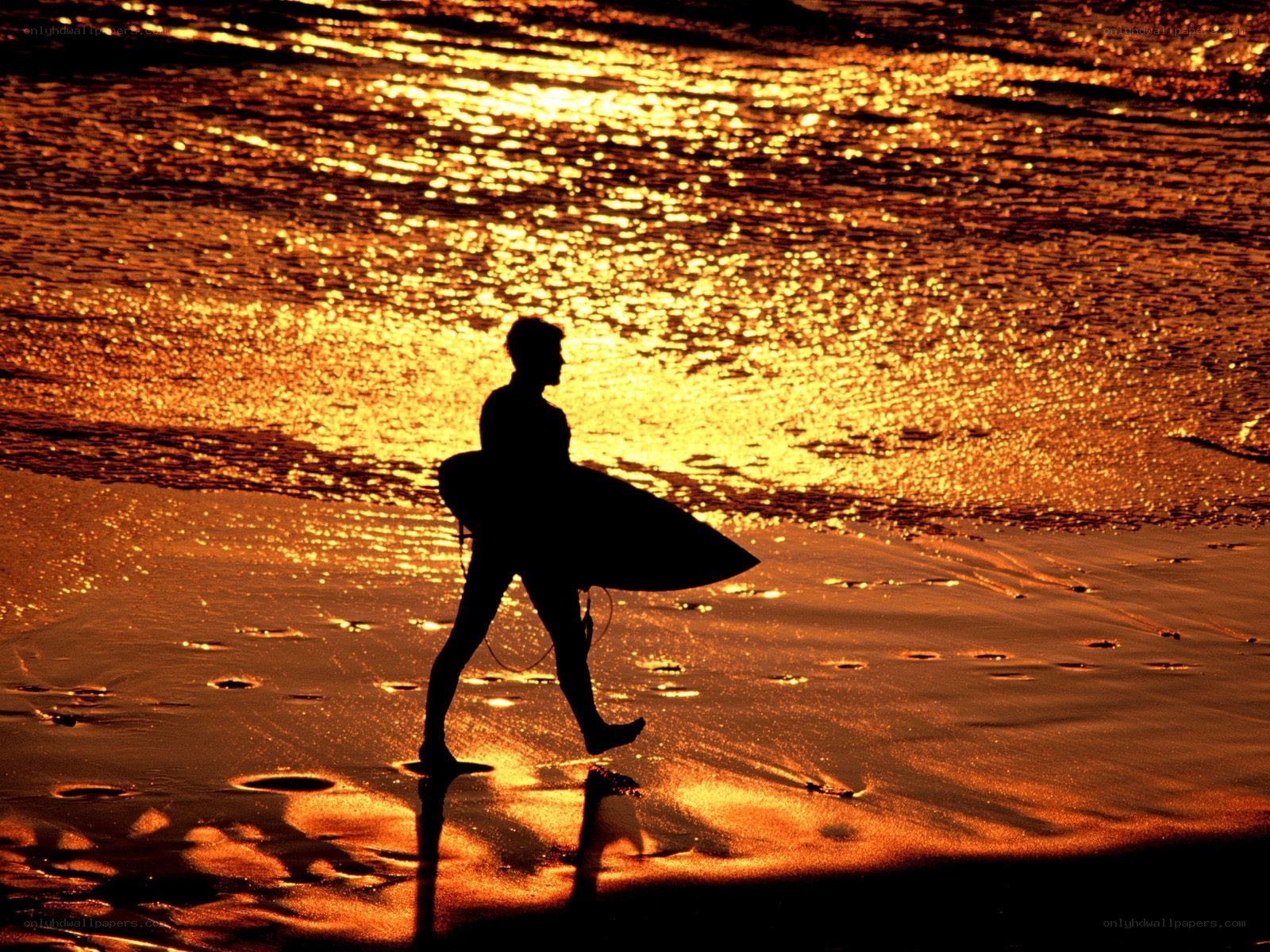 surfer at sunset on beach