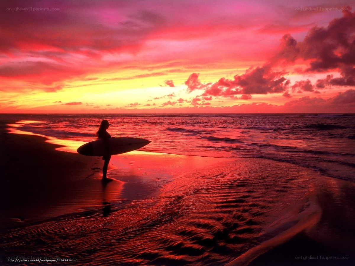 Surfer at sunset on beach