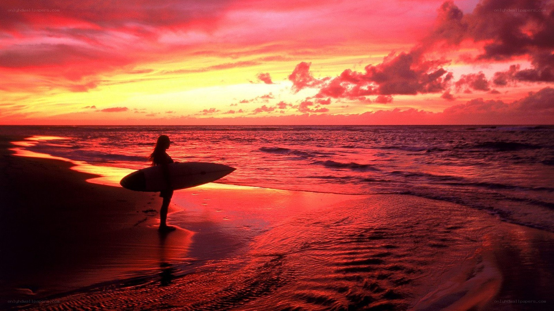 Surfer at sunset on the beach