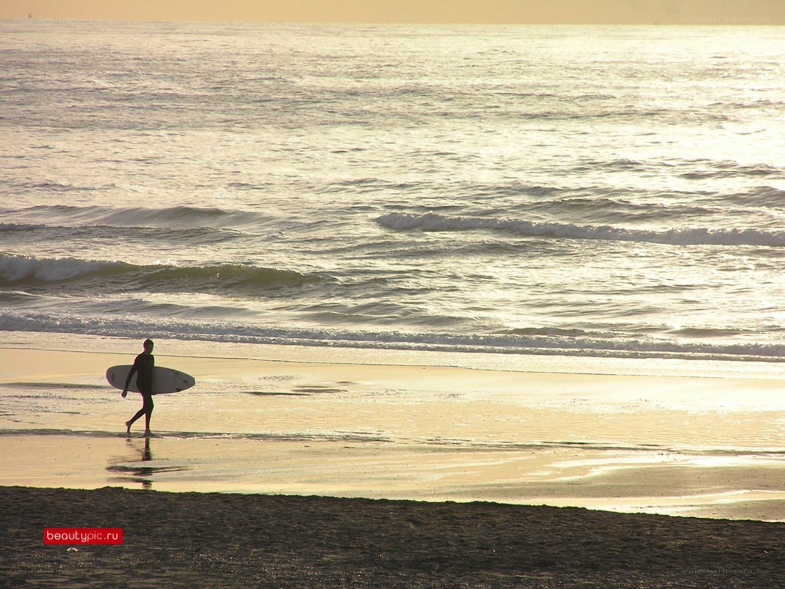 surfer at sunset on the beach