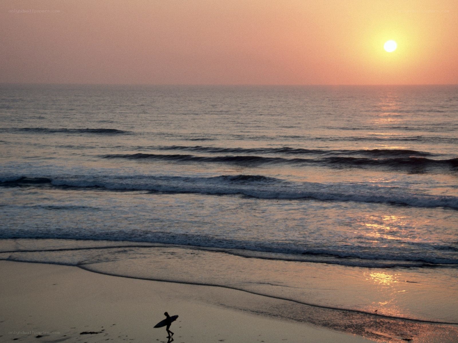 Surfer at sunset on the beach