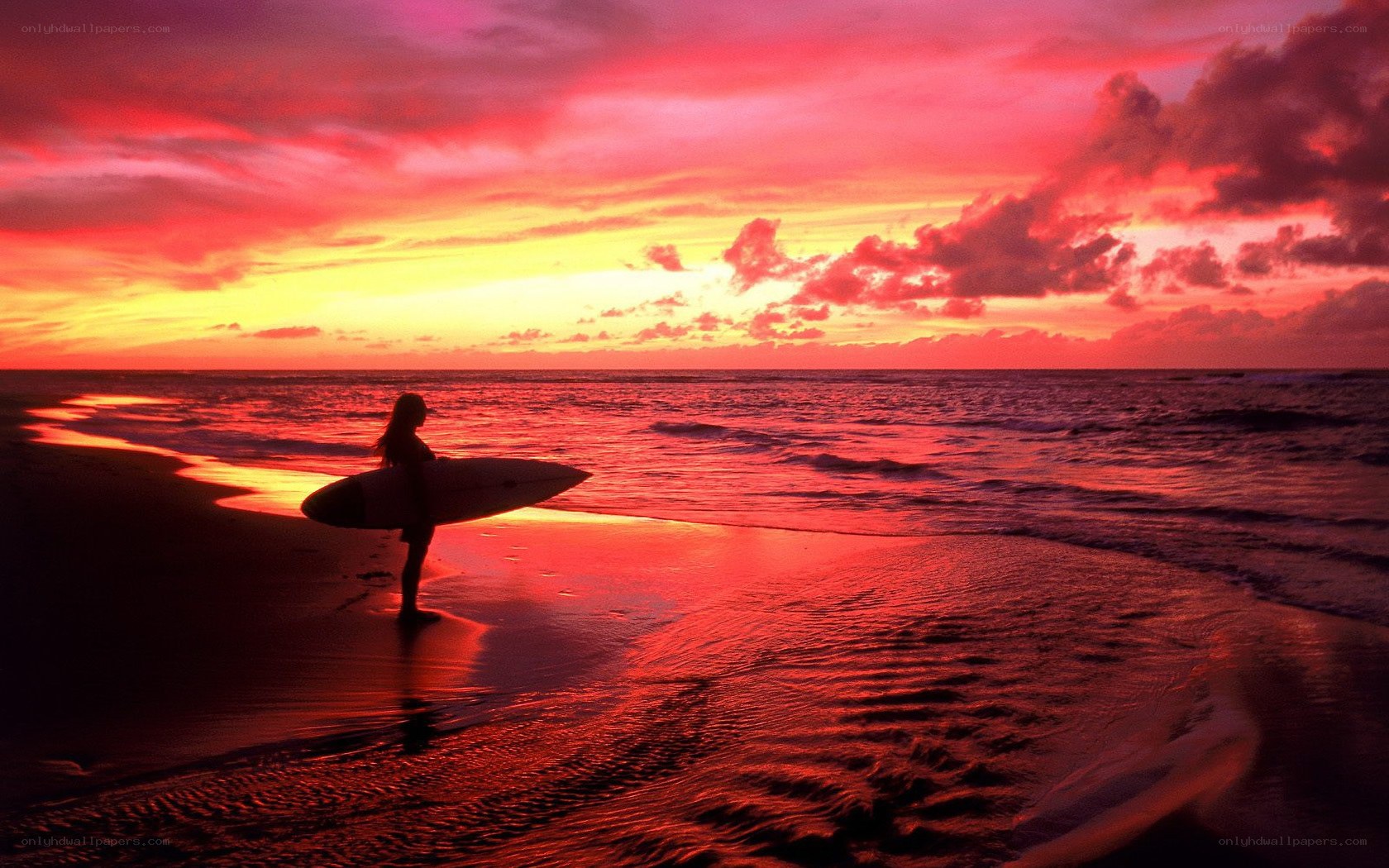 Surfer at sunset on the beach