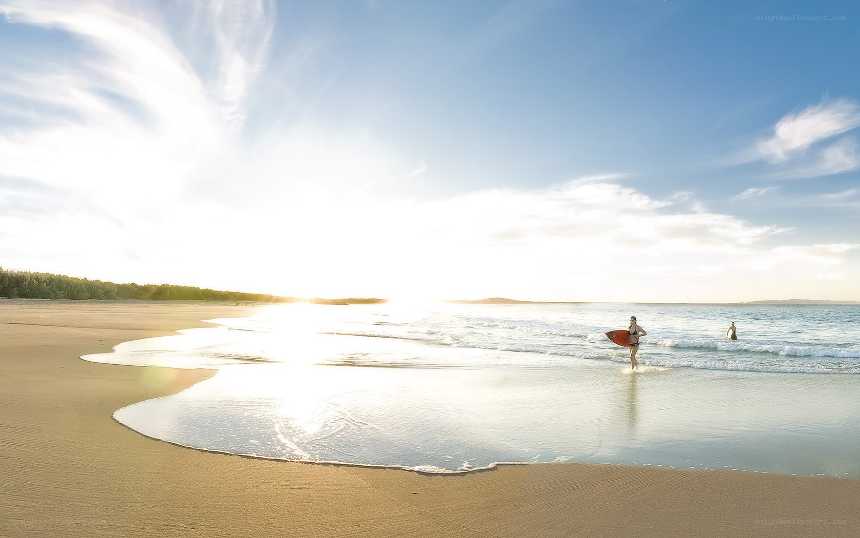 Surfer at sunset on the beach