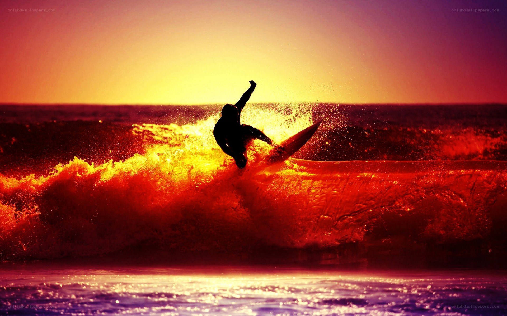 Surfer at sunset on wave