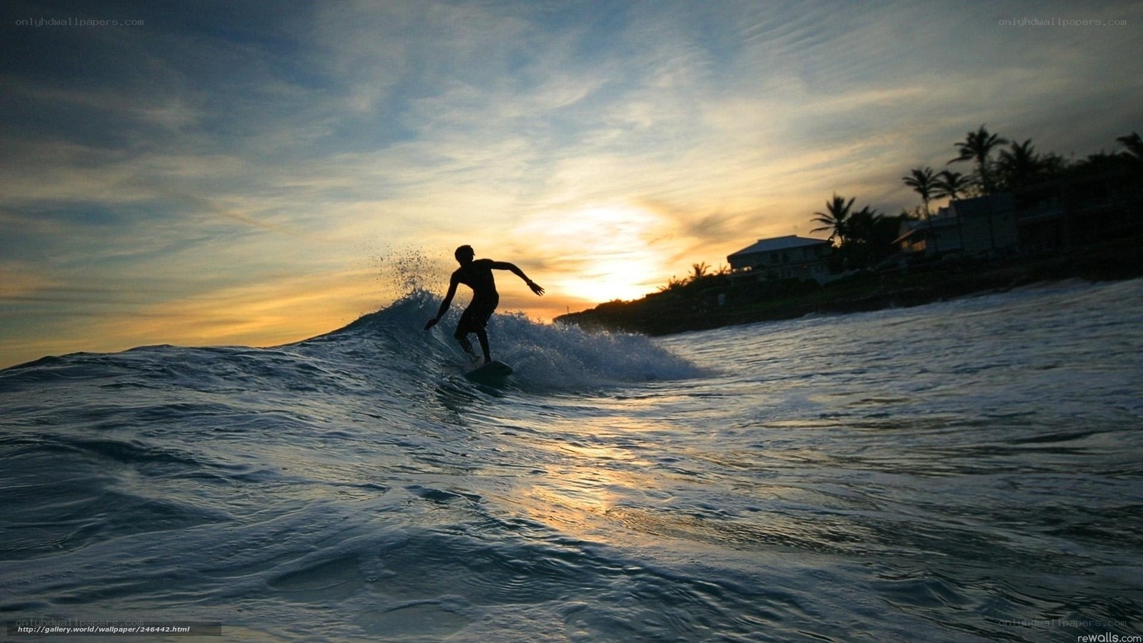 Surfer at sunset silhouette