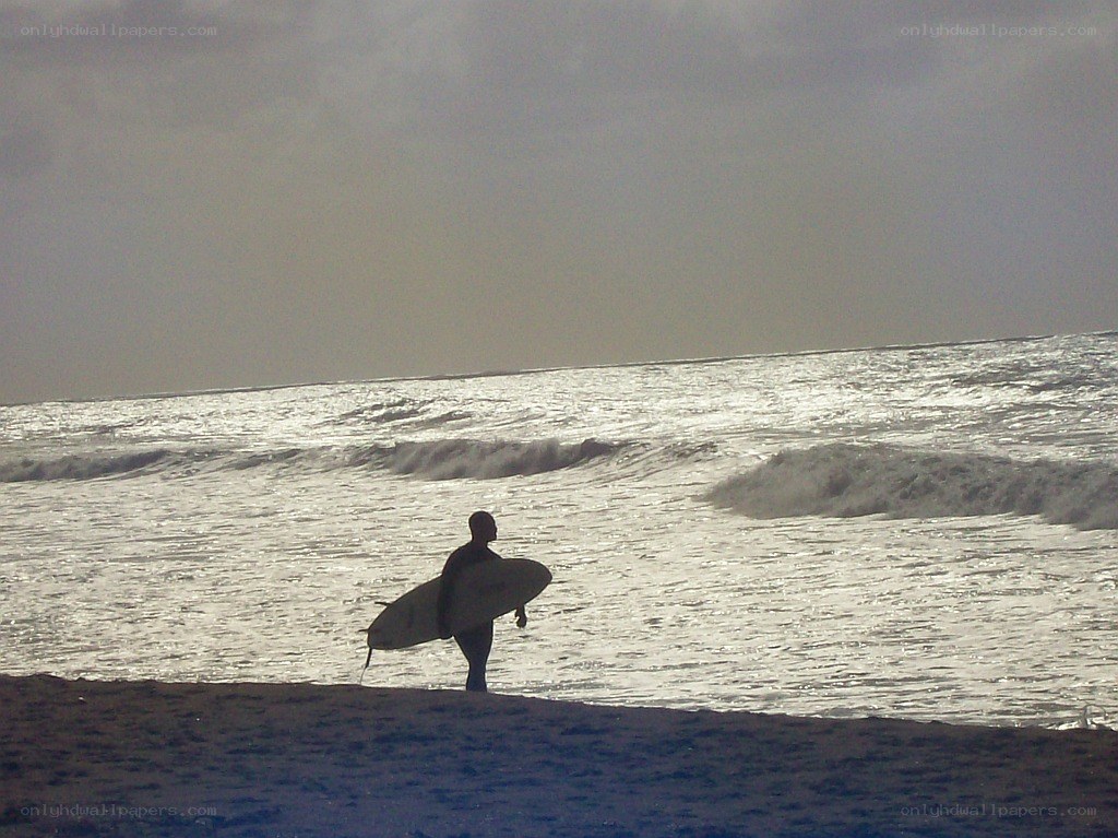 Surfer at the shoreline