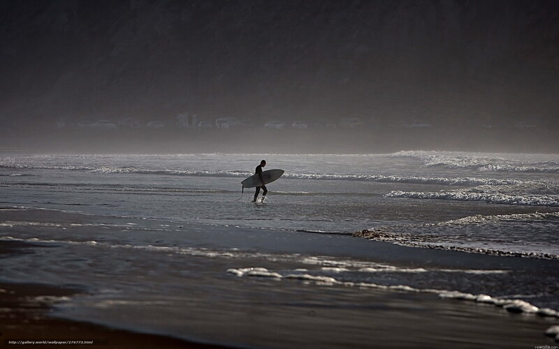 Surfer Carrying Board — Black