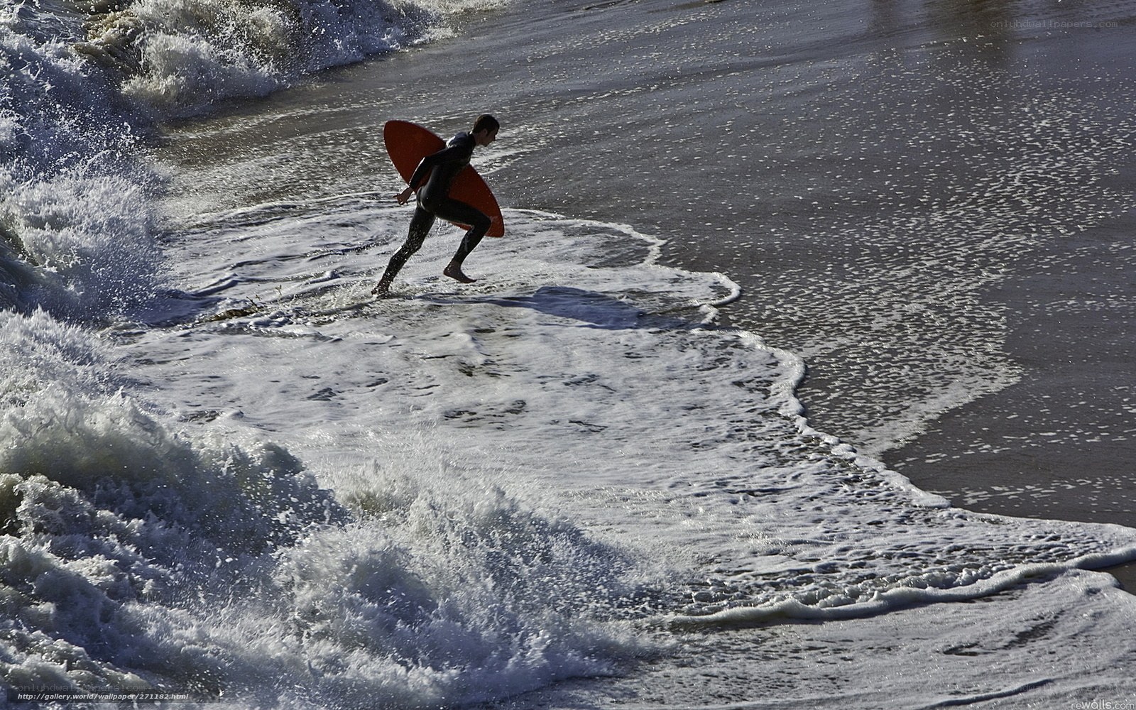 Surfer carrying board on beach