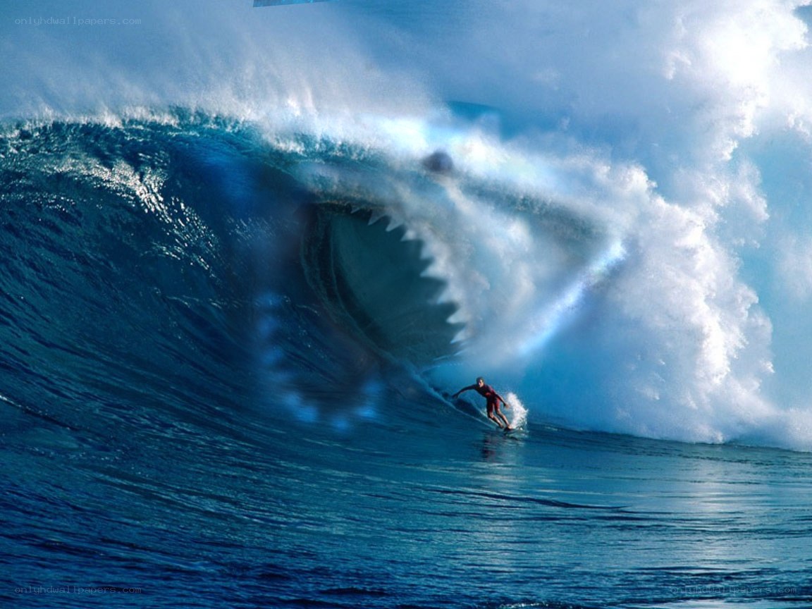 Surfer facing giant wave shark