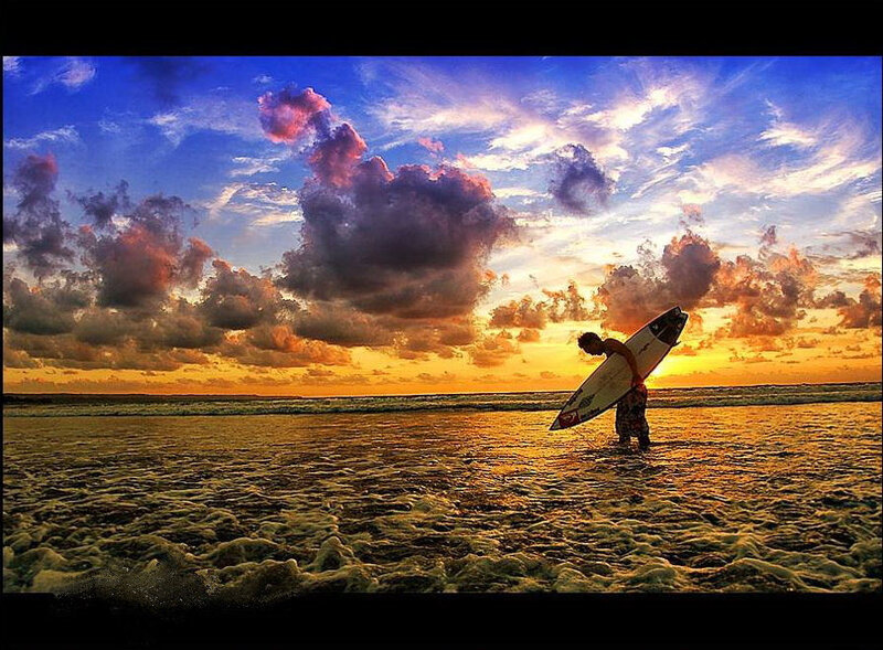 Surfer Holding Board