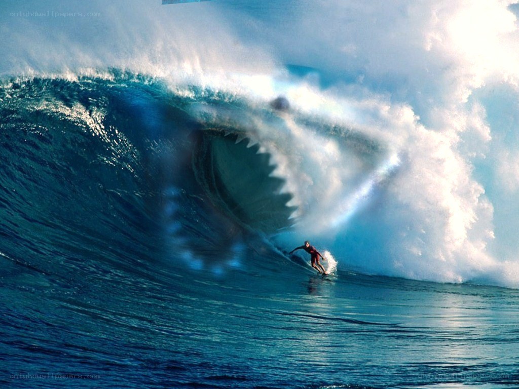 Surfer in a giant wave